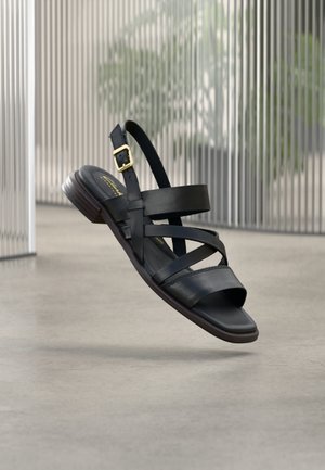 ARIANY STRAP - Sandale - black