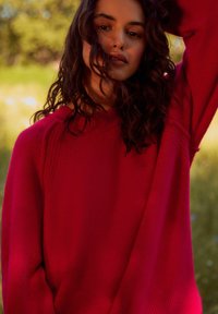 Next SEAM DETAIL CREW NECK PETITE - Pulover - red