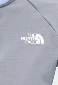 The North Face GLACIER HEAVYWEIGHT 1/2 ZIP - Pulover iz flisa - cornflower/smoked pearl