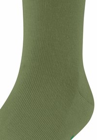 FALKE UNISEX zielony