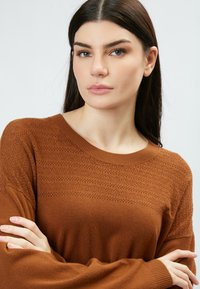 INFLUENCER FANCY - Strickpullover - caramel
