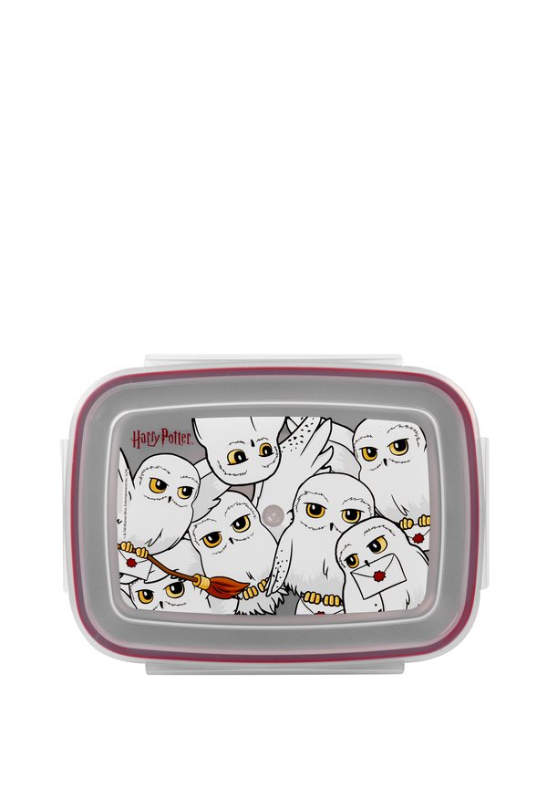 HARRY POTTER - HEDWIG MIT - Brotdose - silber