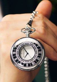 SEIZMONT ALTAIR - Klokke - steel silver