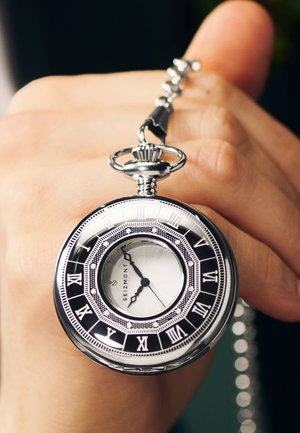 SEIZMONT ALTAIR - Klokke - steel silver