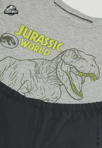 T-shirt gris avec un contour vert d'un T-Rex et le texte "Jurassic World" en vert vif, avec une ceinture en gris foncé. Matériau en coton.