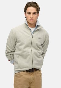 Gray zip-up sweatshirt featuring a high collar, ribbed cuffs, and side pockets, layered over a light blue and white striped shirt.