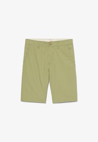 Sélectionné, 330 - light green