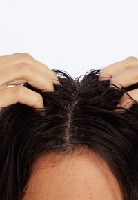 Cheveux foncés et mouillés avec des résidus de produit visibles ; les mains massent le cuir chevelu. Raie au milieu visible. Fond blanc uni.