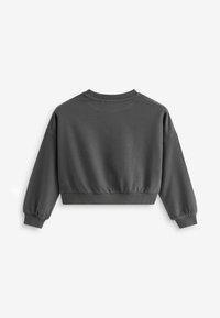 Grå cropped sweatshirt med lange ærmer, ribbede manchetter og halsudskæring. Blødt materiale med en glat tekstur og uden synlige mønstre eller detaljer.
