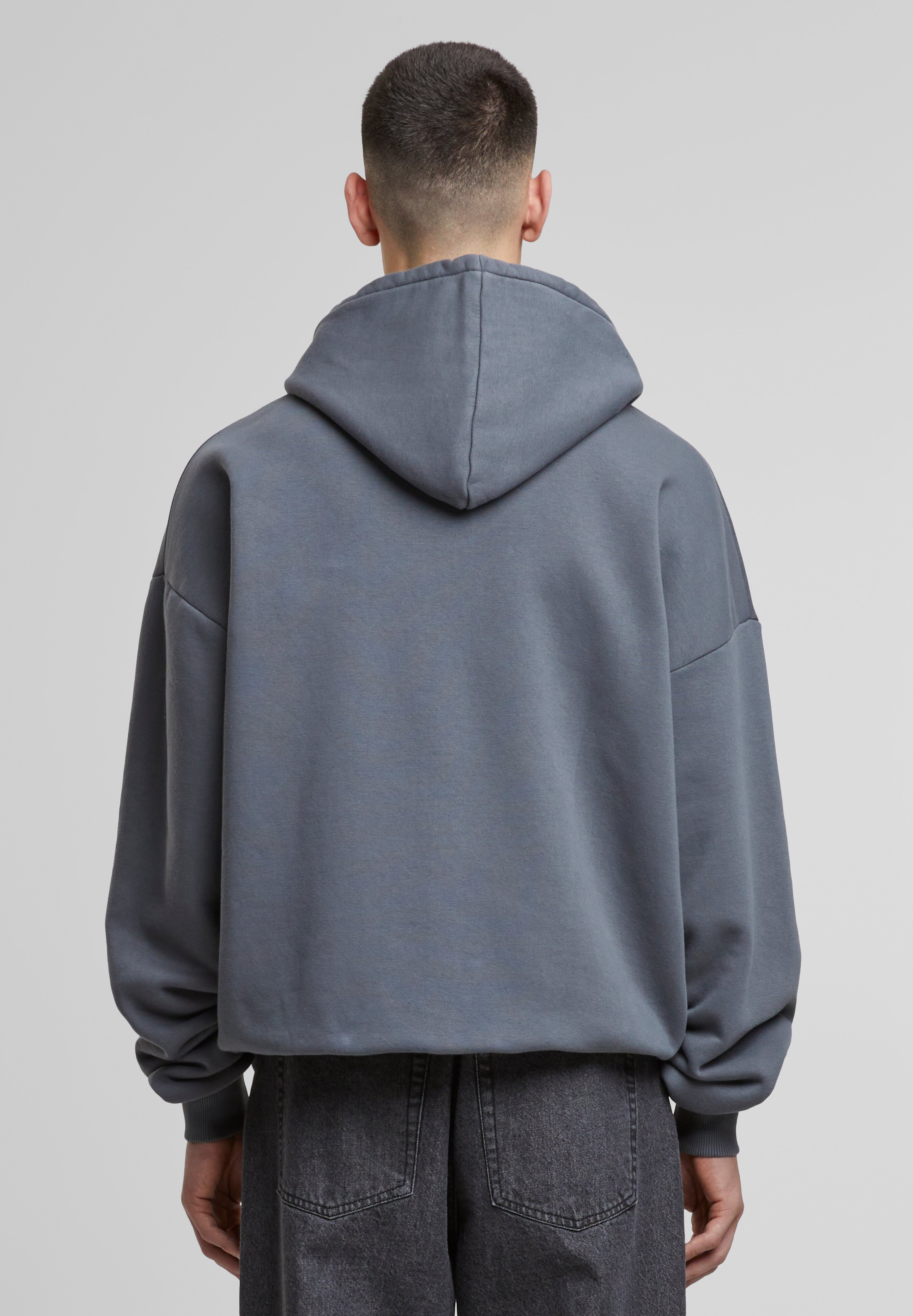CITYSHOP　PE WASH PULLOVER PROHIBITED Zip-up sweatshirt - grey stone washed/grey - Zalando
