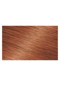 Immagine in miniatura 3