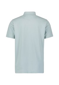 Lichtblauwe polo met korte mouwen en een kraag, gemaakt van een gladde stof, met een eenvoudig ontwerp aan de achterkant en zonder zichtbare patronen of accenten.