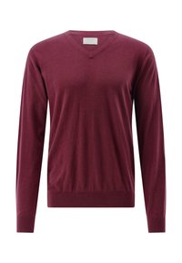 Rot-violetter Pullover mit langen Ärmeln, V-Ausschnitt und gerippten Bündchen sowie Saum. Hergestellt aus weichem, leichtem Stoff. Keine sichtbaren Muster oder Akzente.