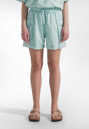 Shorts - green