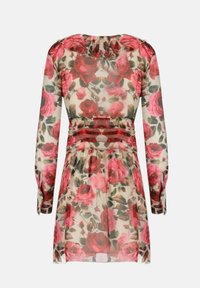 Bloemenjurk van transparante stof met levendige roze rozen en groene bladeren. Lange mouwen en een gathered taille met horizontale accenten.