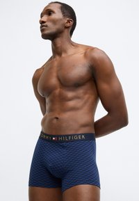 Sinised mustrilised bokserid pehmest kangast, millel on ühtlane vöörihm. Vöörihma kaunistab kuldses kirjas "TOMMY HILFIGER".