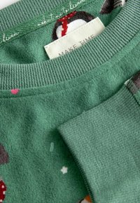 Next TALL SET - Pidžamas komplekts - sage green puffins