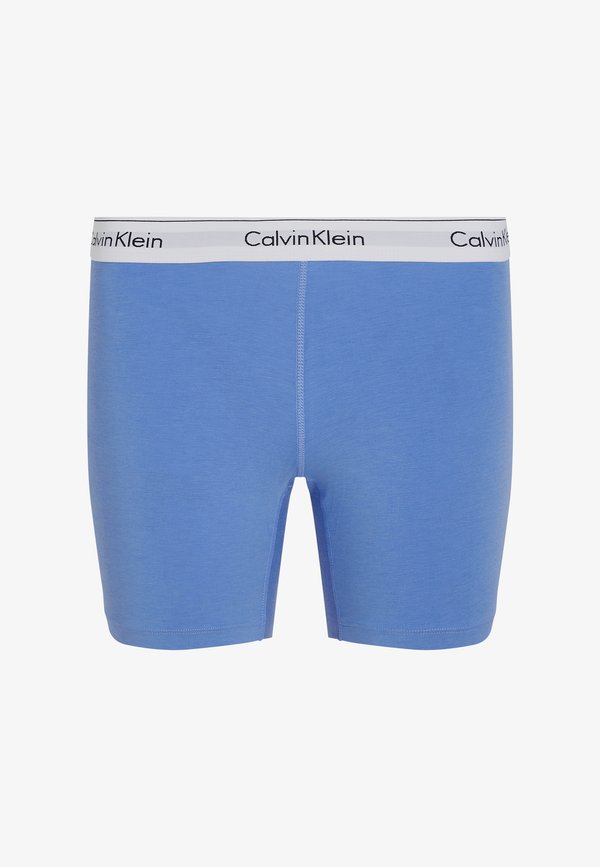 BOXER BRIEF ICON - Pants - glacier2