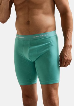 Mannelijke torso in teal boxershorts met een tailleband van "HAPPY SHORTS", gekropt onder de borst, staand tegen een witte achtergrond.