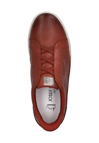 Josef Seibel CLAIRE SNEAKER - Sneakers basse - hibiscus kombi