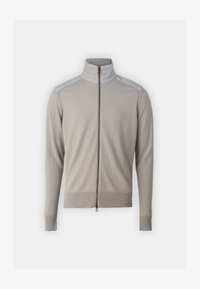 Ej vald, chrome grey