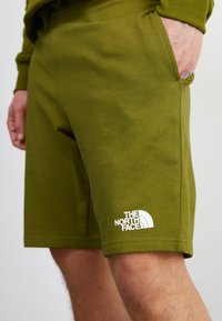 Pantaloni corti verde oliva realizzati in morbido cotone, con una tasca laterale e un logo bianco "THE NORTH FACE" sull'orlo sinistro inferiore.