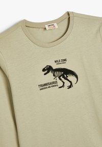 Vaaleanbeige puuvillapaita, jossa on pyöreä kaula-aukko. Paidassa on musta dinosauruksen graafinen kuva ja tekstit: "WILD ZONE," "TYRANNOSAURUS" ja "DANGEROUS AND POWERFUL."