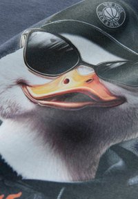 Unselected, charcoal grey duck