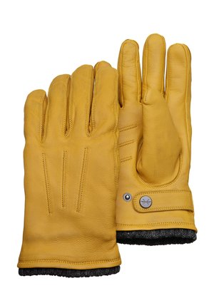 NEWTON - Guanti - corn