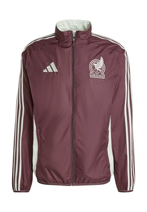 MEXICO ANTHEM - Nationalmannschaft - dark burgundy linen green