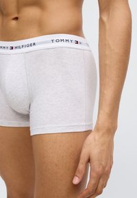 Ανοιχτόχρωμα γκρι βαμβακερά αντρικά εσώρουχα boxer με λευκή ζώνη μέσης που φέρει το λογότυπο "TOMMY HILFIGER" σε μαύρο, κόκκινο και μπλε χρώμα.