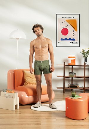 Oliivrohelised bokserid väikeste mustade mustritega, puuvillane materjal, elastne vöökoht; seisva meermodeli pilt kaasaegses elutoas.