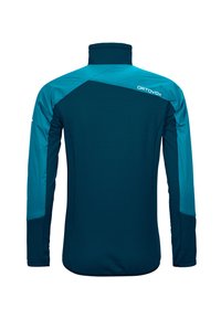 Men's jacket in dark teal with light teal accents. Features a high collar, long sleeves, and textured material on the back.