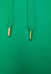Rich & Royal HOODIE - Sweatshirt com capuz - spring green