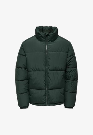 Ciemnozielona kurtka puchowa z wysokim kołnierzem, zamkiem błyskawicznym z przodu i elastycznymi mankietami. Posiada pikowany design z poziomymi przeszyciami.