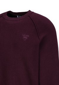 Bordeaux sweatshirt gemaakt van een zachte katoenmix, met een ronde halslijn, raglanmouwen en een reliëflogo op de borst.