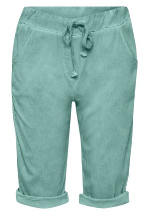 Shorts - turquoise