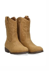 Botas de vaquero de ante marrón con detalles bordados, tacón bajo tipo bloco y cremallera lateral. Presentan paneles de tela texturizada en la puntera.