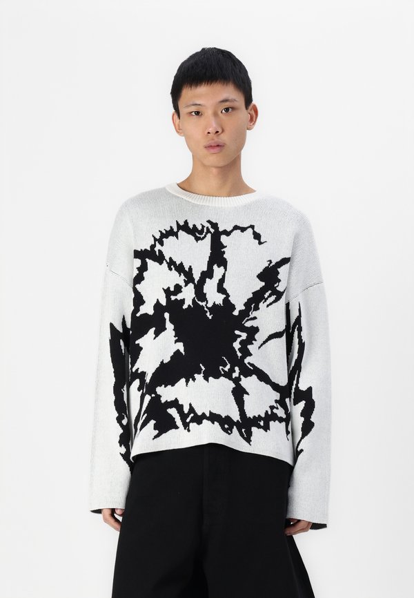 ALEK THIN GRAPHIC - Jumper