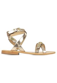 Sandales métalliques dorées avec un design à strap croisé, semelle en bois plate et accents de boucle ajustables. Texture lisse, style minimaliste.