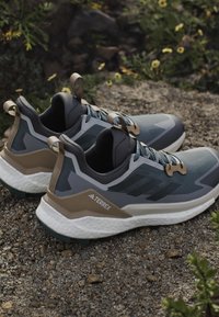 Paar blauwe en beige Terrex trailrunningschoenen op rotsachtige grond met groene begroeiing op de achtergrond.
