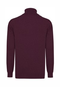 Burgundowy sweter z długimi rękawami i wysokim kołnierzem. Miękka dzianina, ściągacze u rękawów i u dołu, gładki wzór bez widocznych wzorów ani akcentów.