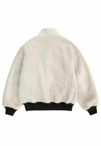 Faux-Fur-Bomberjacke in Hellgrau mit weichem Textil, gerippten schwarzen Bündchen und Saum sowie einem klassischen Kragendesign.