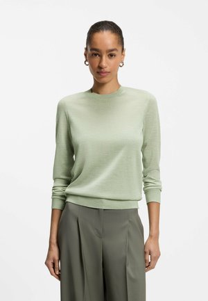 Ung kvinde med trukket hår bærer en lysegrøn sweater og højtbemandede mørkegrønne plisserede bukser, stående mod en ensfarvet baggrund.