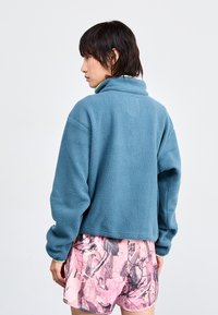 Columbia HELVETI CROPPED HALF SNAP  - Fleece trui - everblue/crushed blue/citron haze