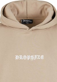 Dropsize HEAVY CRIME  - Sweat à capuche - silvermink