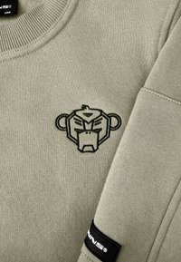 Lichtgroene sweatshirt met zwart geborduurd aaplogo op de borst en een zwart merkembleem op de manchette. Zachte textuur, ronde halsontwerp.