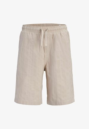 Niño pequeño de pie de frente vistiendo camisa beige de manga corta con botones, pantalones cortos a juego, camiseta azul claro, calcetines crema y zapatos marrones.