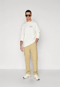 Patagonia UNITY FITZ WILDRISE CREW - Φούτερ - birch white