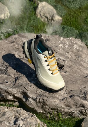 RIBELLE CROSS 2 GTX - Zapatillas de senderismo - fog/lemon curry